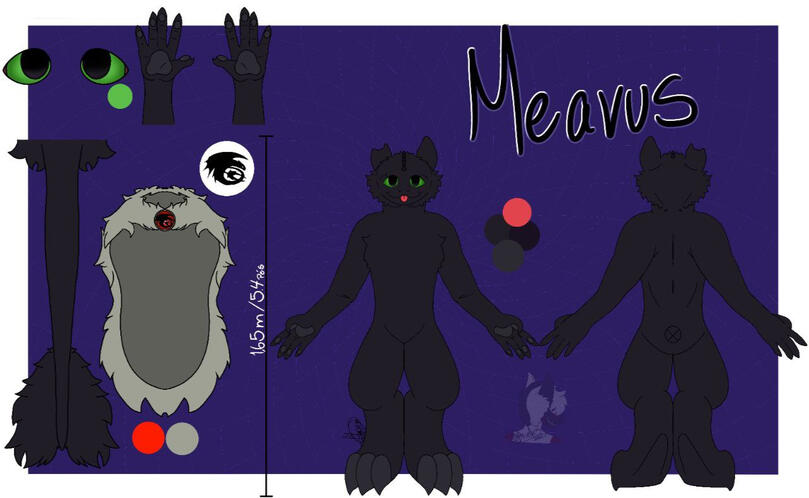 Frente e trás, cauda, olhos e patas; 70 BRL