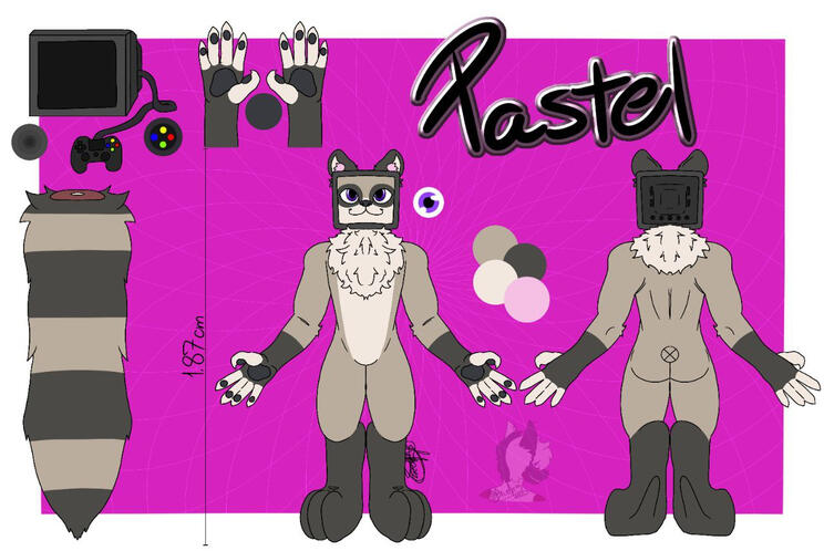 Frente e trás, cauda, olhos e patas; 70 BRL